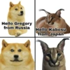 Hello Gregory from Russia Hello Kabosu from Japan