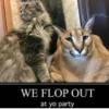 WE FLOP OUT at yo party