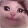 Cat Crying 9