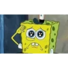 GUBKA BOB 5
