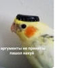 HScroll by 8