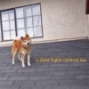 [ ] 14