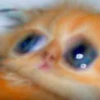 HScroll by 9
