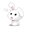 bunny 13