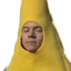 Harry Styles 12