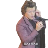 Harry Styles 13
