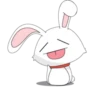 bunny 15