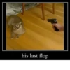 his last flop