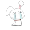 bunny 17