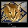 YO friend
