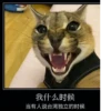 我什么时候 当有人说台湾独立的时候