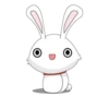 bunny 20