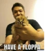 HAVE A FLOPPA
