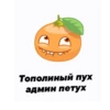 Тополиный пух админ петух