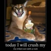 ПЕРЕПЕЛКА ДЕРЕВЕНСКАЯ today I will crush my my infant son with a rock