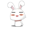bunny 22