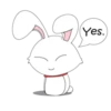 Yes.