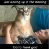 Just waking up in the morning dic Gotta thank god