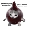 Да чего сразу токсичная просто манера общения такая