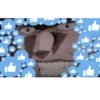 Jojo 30