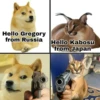 Hello Gregory from Russia Hello Kabosu from Japan