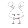 bunny 28