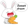 Sweet dream