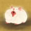 🐹 Hamsters 2