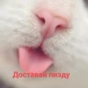 Стики 0839 из @Anonymnyi_chat_bot 5