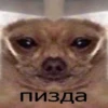 LOL 6