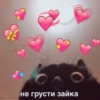 не грусти зайка