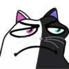 Hiko The Meow 14