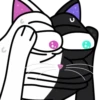 Hiko The Meow 18