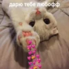 дарю тебе любофф 品