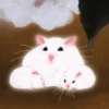 🐹 Hamsters 21