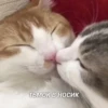 Стики 0839 из @Anonymnyi_chat_bot 19