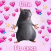 Опа Го секс