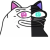 Hiko The Meow 26