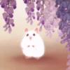 🐹 Hamsters 24