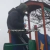 лиманские гении (Created By: ) 10