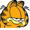 Garfield - Paulinha 5