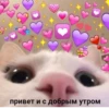 привет и с добрым утром
