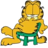Garfield - Paulinha 7