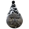 Goddamn cats 8