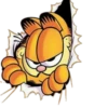 Garfield - Paulinha 9