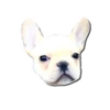 Frenchie Sticker Pack 12