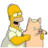 Homer Simpson 13