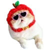 Goddamn cats 18