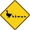 Give Way 11
