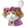 Goddamn cats 19